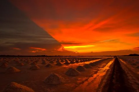 Salt fields in thailand Foto stock