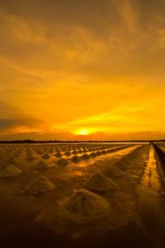 Salt fields in thailand Foto stock