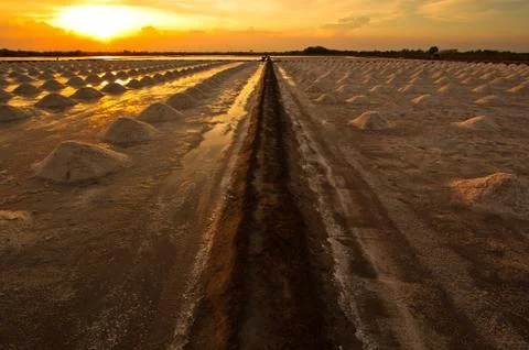 Salt fields in thailand Stock Photos