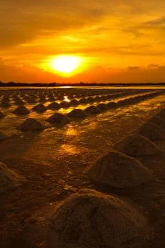 Salt fields in thailand Stock Photos