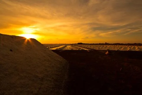 Salt fields in thailand Stock Photos