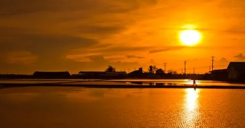 Salt fields in thailand Stock Photos
