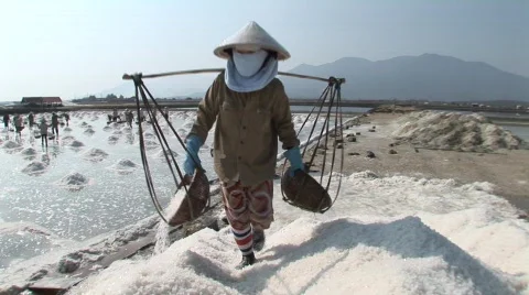 Salt fields in Vietnam Stock Footage 476338