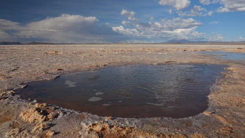 Salt Flat Springs of Extremely Cold Salt Water. Uyuni, Potosi, Bolivia Vidéo 102907133