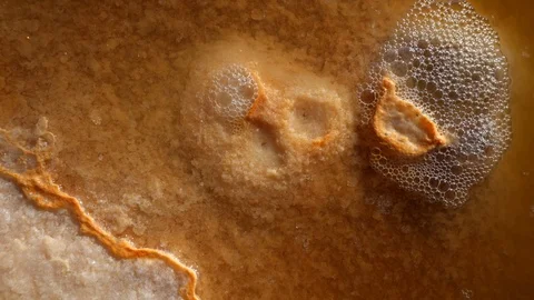 Salt Flat Springs of Extremely Cold Salt Water. Uyuni, Potosi, Bolivia Vidéo 102907306