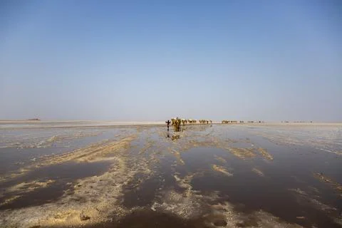Salt flat texture in the Danakil depression, Dallol, Ethiopia Stock Photos