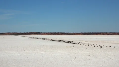 Salt Flats 4 Stockbeeldmateriaal 119851444