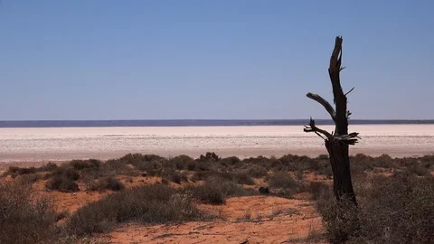 Salt Flats 5 Stockbeeldmateriaal 119852187