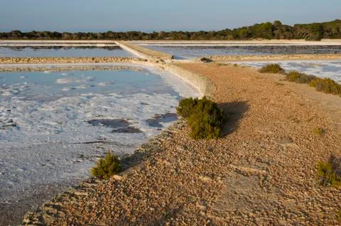 Salt flats Stock Photos