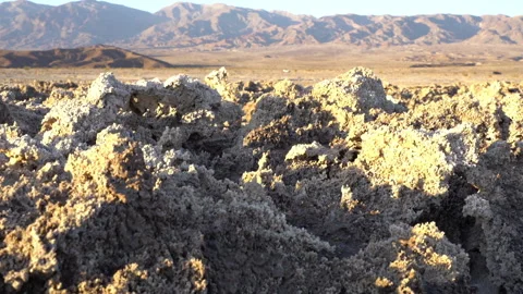 Salt formations in a dry desert landscape. Video stock 155368719