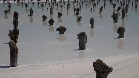 Salt Lake Baskunchak Stock Footage 109435457