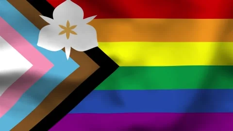 Salt Lake City Progress Pride Flag Fabric Texture Stock Footage 336182725