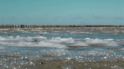 Salt lake. Video stock 25423798