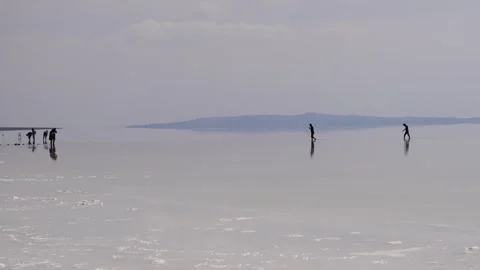 Salt lake Stock Footage 282176574