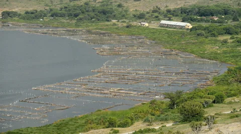 Salt lake Katwe in the Katwe, Uganda. Stock Footage 60419378