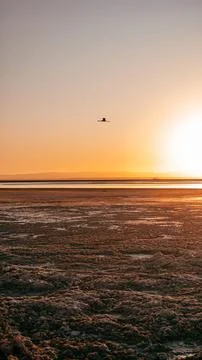Salt Lake Stock Photos