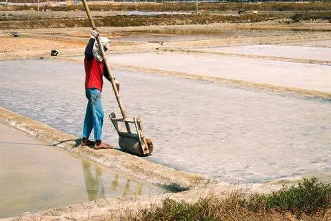 Salt Making Stock Photos