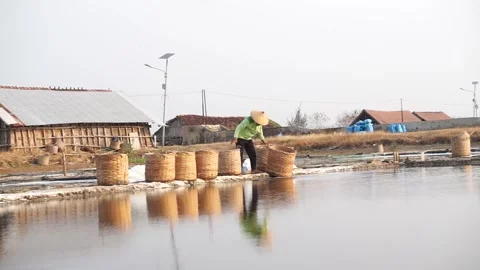 Salt making process Video stock 259403296