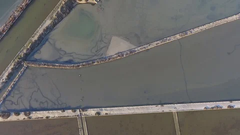 Salt from Marsala-sicily 스톡 동영상 104243687
