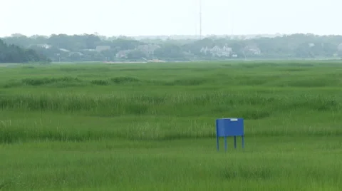Salt marsh 2 4k Stock Footage 41639211