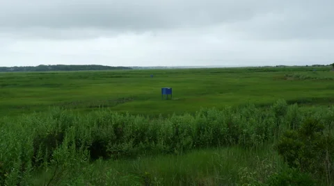 Salt marsh 4k Stock Footage 41637873