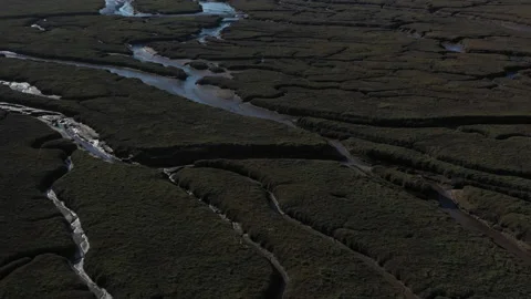 Salt marsh from above Stock-Footage 142670436