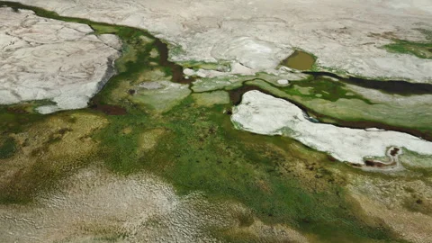 Salt Marsh and Green Moss from Drone Stock Footage 316980366