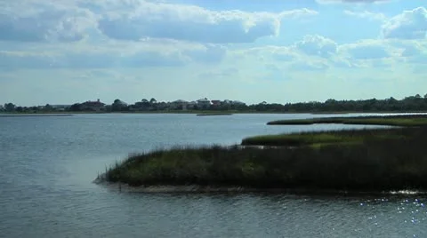 Salt Marsh and reeds at Shell Point &amp; Walker Creek, Wakulla County, Florida Stock Footage 11051096