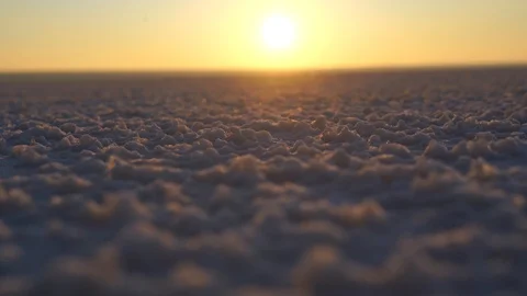 Salt marsh on the background of dawn, bottom of the sea, salt Stock Footage 122455684