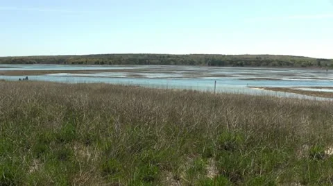 Salt marsh from cliff Stock Footage 11905343