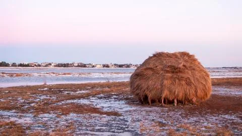 Salt marsh haystack Stock Photos