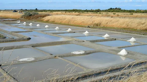 Salt marsh in the Ile de Re, France, EU, Europe Stock Footage 68114203