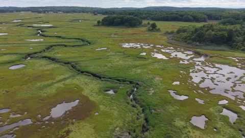 Salt marsh in Massachusetts Stock Footage 345672138