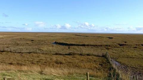 Salt marsh panorama. 스톡 동영상 119984807