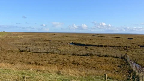 Salt marsh panorama. Stock Footage 119990145