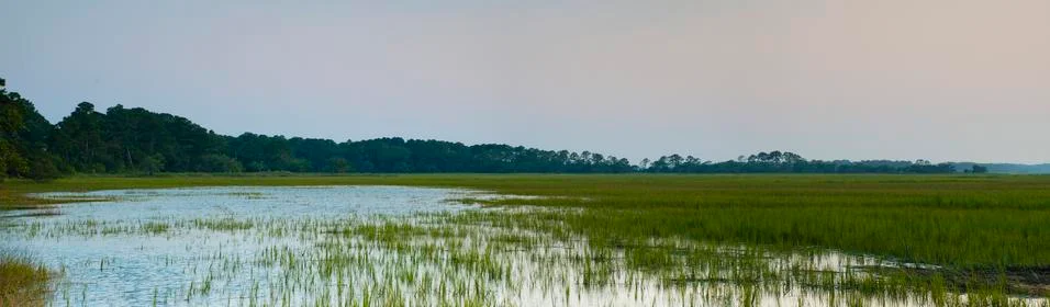 Salt marsh 스톡 사진