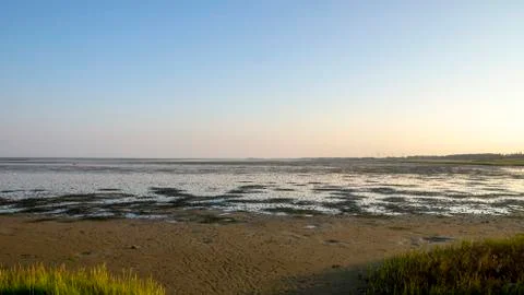 Salt marsh Stock Photos
