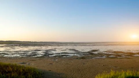 Salt marsh Stock Photos
