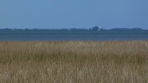 Salt Marsh Reeds on the bay with St. Marks Lighthouse in distant background Stock Footage