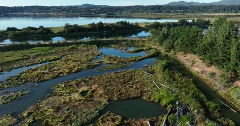 Salt marsh reveal and pan to ocean bay - 5K Video stock 227967925