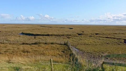 Salt marsh view. 스톡 동영상 119990232