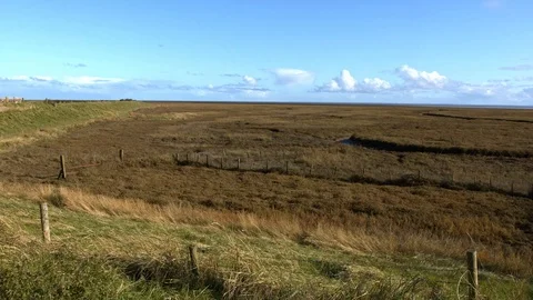 Salt marsh view. Stock Footage 119991254