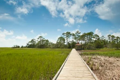 Salt marsh walk Stock Photos