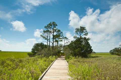 Salt marsh walk Stock-Fotos