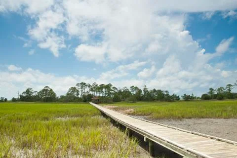 Salt marsh walk Stock Photos