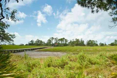 Salt marsh walk Stock Photos