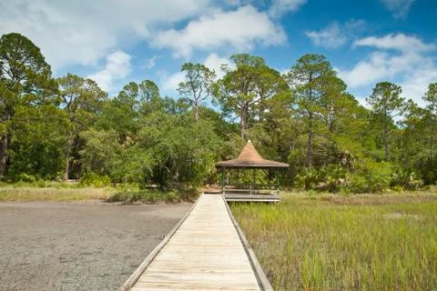 Salt marsh walk Foto stock