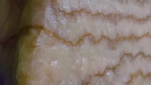 Salt mine Stock Footage 166578131