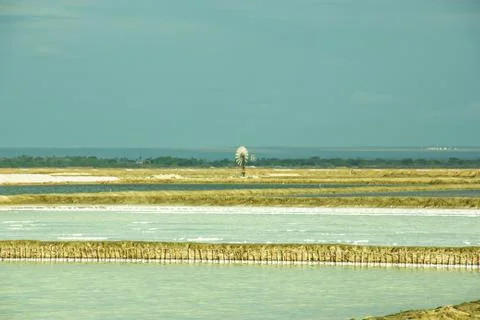 Salt mine with windmill Stock Photos
