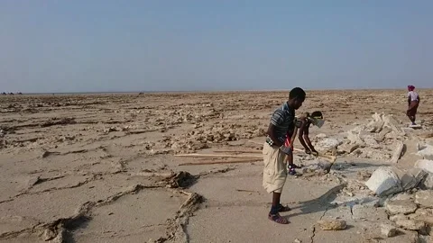 Salt Mine Workers in Danakil Depression, Afar region, Ethiopia Stock Footage